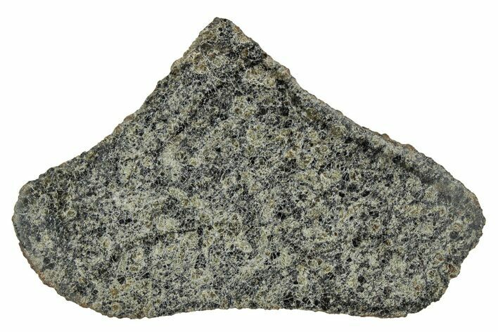 Martian Shergottite Meteorite ( g) Slice - NWA #337548